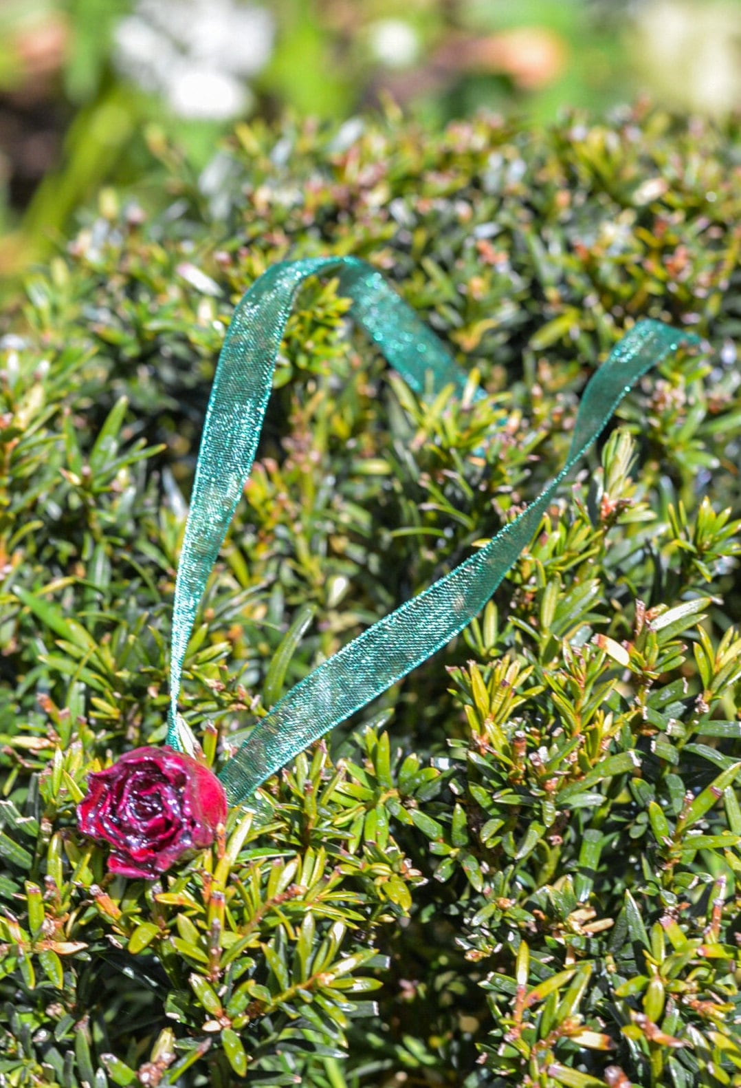 Enchanting 'Rose-Red' Ribbon Choker
